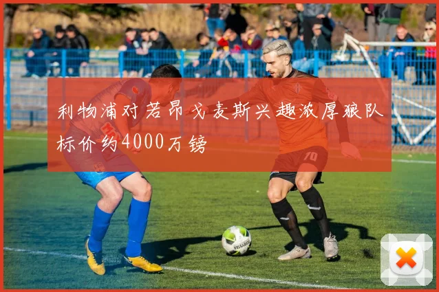 利物浦对若昂戈麦斯兴趣浓厚狼队标价约4000万镑