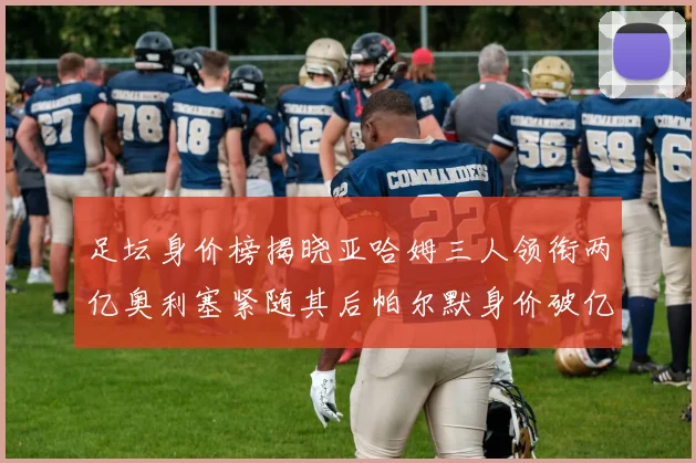 足坛身价榜揭晓亚哈姆三人领衔两亿奥利塞紧随其后帕尔默身价破亿